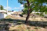 Plac, Rab, Barbat na Rabu, prodaja, 1904m2, 345000e, id63612