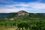 Plac, Motovun, Motovun, prodaja, 4646m2, 230000e, id63674