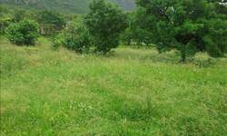 Plac, Vinodol, Bribir, prodaja, 3291m2, 90000e, id10374