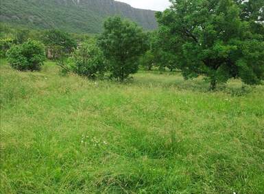 Plac, Vinodol, Bribir, prodaja, 3291m2, 90000e, id10374