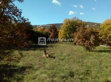 Zemljiste, Bakar, Škrljevo, prodaja, 200000 €, 3812 m2