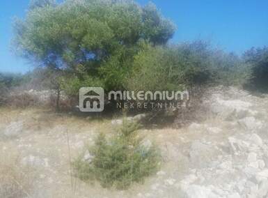 Plac, Novalja, Novalja, prodaja, 30785m2, 650000e, id9550