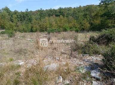 Plac, Klana, Studena, prodaja, 1216m2, 35000e, id11055