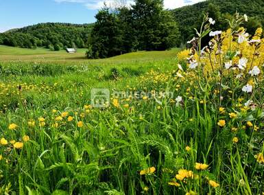 Plac, Mrkopalj, Begovo Razdolje, prodaja, 1406m2, 79000e, id23399