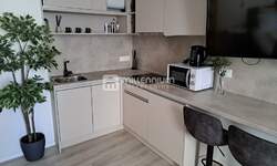 Jednosoban stan, Rijeka, Brajda, najam, 21m2, 690e, id40237