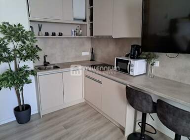 Jednosoban stan, Rijeka, Brajda, najam, 21m2, 690e, id40237