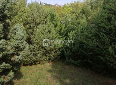 Plac, Bale, Bale, prodaja, 10544m2, 125000e, id56309