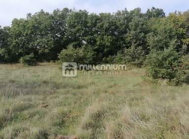 Plac, Bale, Bale, prodaja, 35000m2, 245000e, id56675