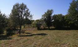 Plac, Bale, Bale, prodaja, 518m2, 54000e, id63715