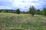 Plac, Motovun, Motovun, prodaja, 9212m2, 290000e, id63817