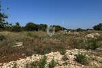 Plac, Pula, Veli vrh, prodaja, 1793m2, 167500e, id61601