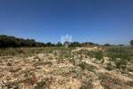 Plac, Pula, Veli vrh, prodaja, 1793m2, 167500e, id61601