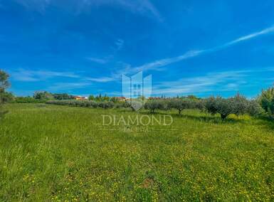 Plac, Umag, Umag, prodaja, 1367m2, 210000e, id44866