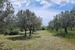 Plac, Vodnjan, prodaja, 0m2, 113300e, id64709