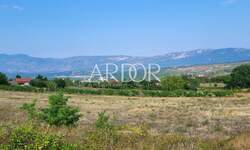 Plac, Pićan, Pićan, prodaja, 11584m2, 180000e, id36529