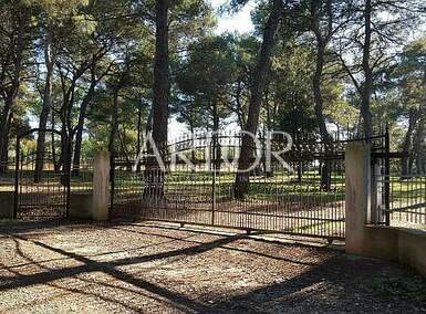 Plac, Rovinj, Rovinj, prodaja, 12050m2, 1950000e, id36707