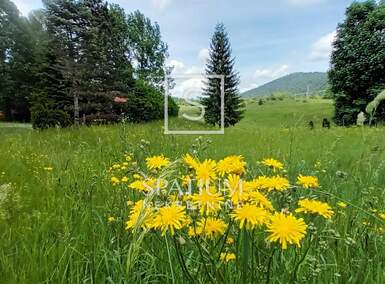 Zemljiste, Ravna Gora, Stara Sušica, prodaja, 43000 €, 4760 m2