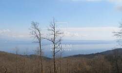 Plac, Opatija, Veprinac, prodaja, 9120m2, 1480000e, id18124