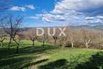 Plac, Motovun, Motovun, prodaja, 4646m2, 250000e, id48486