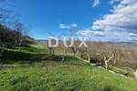 Plac, Motovun, Motovun, prodaja, 4646m2, 250000e, id48486