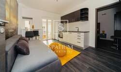 Dvosoban stan, Rijeka, Centar, najam, 33m2, 550e, id60218