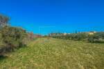 Plac, Umag, Umag, prodaja, 1367m2, 218000e, id68439