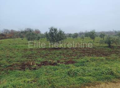 Zemljiste, Tar-Vabriga, Tar, prodaja, 115000 €, 7628 m2