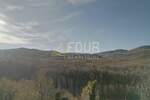 Plac, Motovun, prodaja, 156000 €, 1788 m2