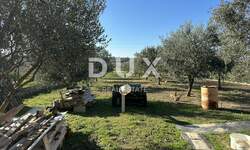 Plac, Zadar, Crno, prodaja, 123000 €, 2046 m2