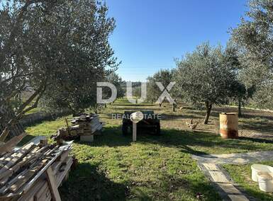 Plac, Zadar, Crno, prodaja, 123000 €, 2046 m2