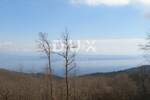 Plac, Opatija, Veprinac, prodaja, 1080000 €, 9120 m2