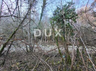 Plac, Buzet, prodaja, 21000 €, 6482 m2