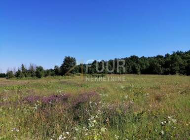 Zemljiste, Sveti Lovreč, prodaja, 8500 €, 1994 m2