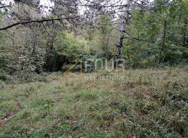 Plac, Klana, prodaja, 195000 €, 8493 m2