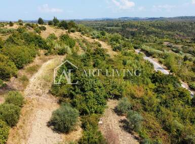 Zemljiste, Buje, prodaja, 150000 €, 3000 m2