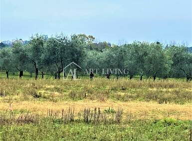 Zemljiste, Umag, prodaja, 169260 €, 538 m2