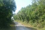 Plac, Labin, Ripenda Kras, prodaja, 56000m2, 280000e, id7889