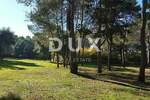 Zemljiste, Rovinj, prodaja, 927180 €, 5151 m2