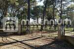 Plac, Rovinj, Rovinj, prodaja, 12058m2, 2127000e, id8842