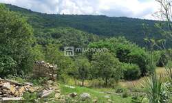 Plac, Buzet, Sovinjak, prodaja, 1737m2, 85000e, id9298