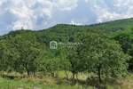 Plac, Buzet, Sovinjak, prodaja, 1737m2, 85000e, id9298