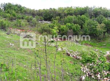 Plac, Rijeka, Drenova, prodaja, 7557m2, 857000e, id9307