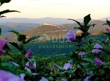 Plac, Vižinada, Vižinada, prodaja, 1240m2, 175000e, id11219