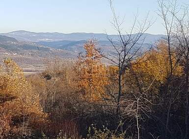 Plac, Vižinada, Vižinada, prodaja, 5261m2, 420000e, id11224